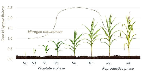 Corn N Uptake lb/acre