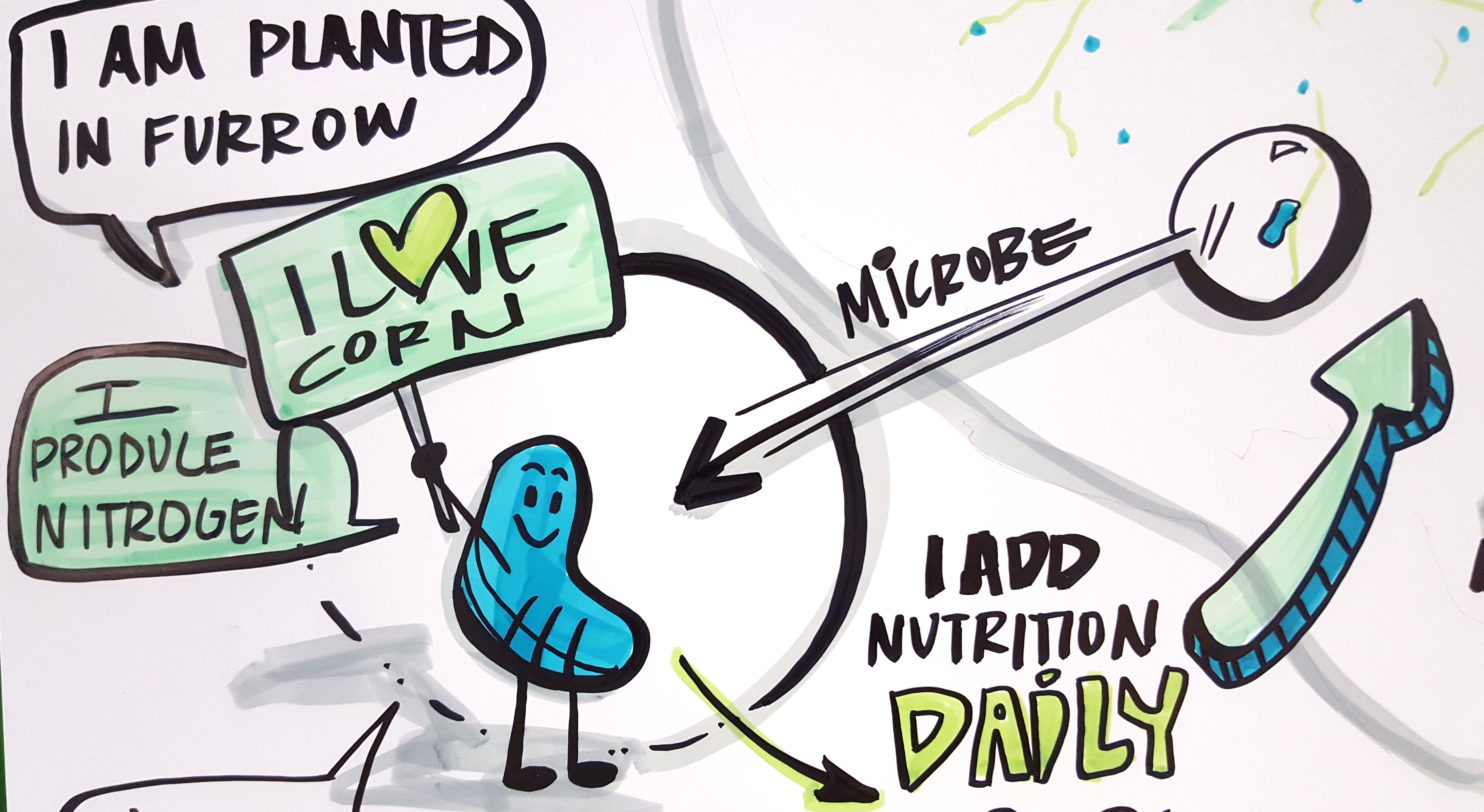 MeetOurMicrobes