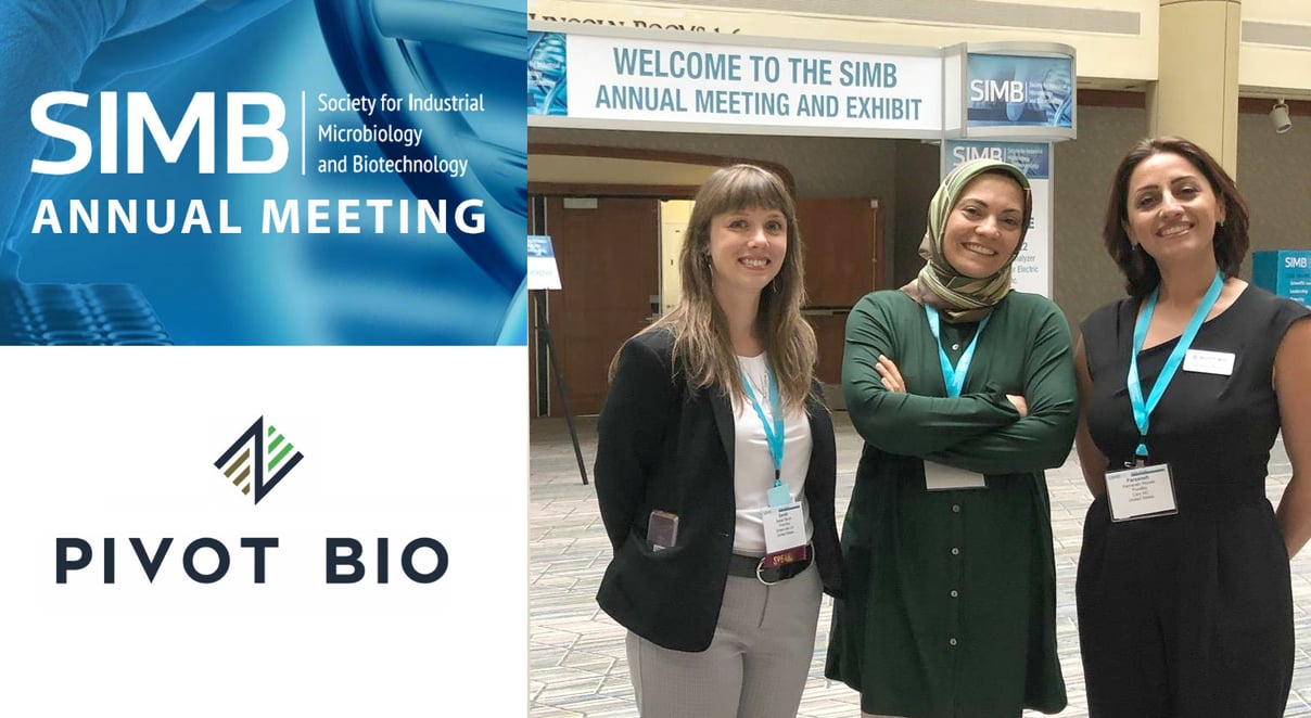 SIMB2019